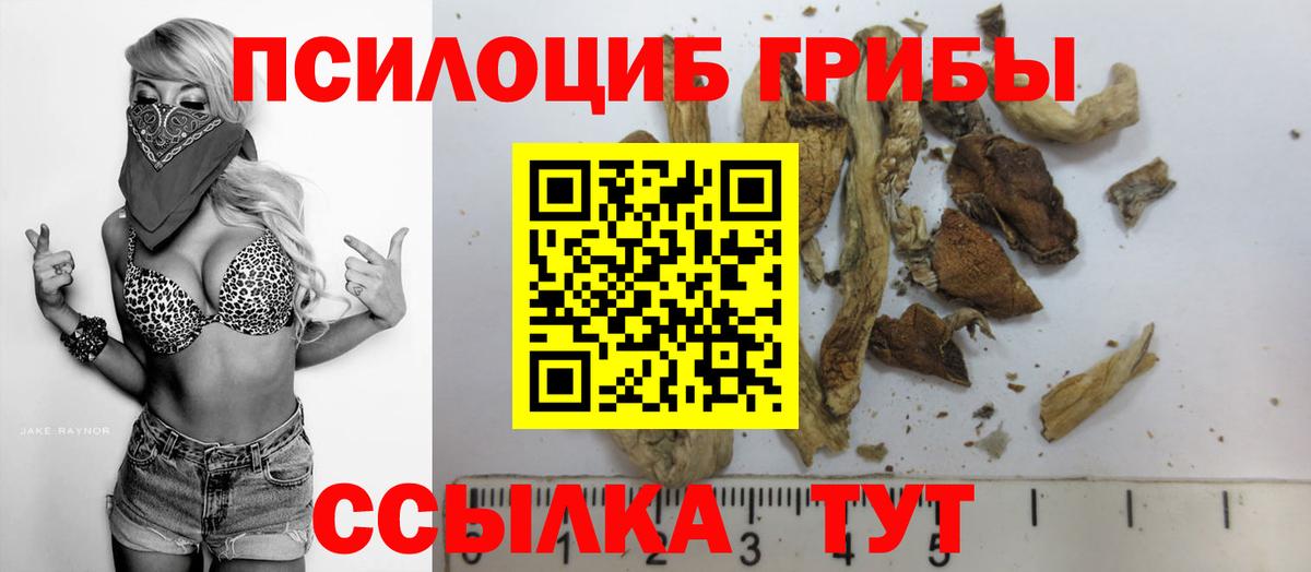 Псилоцибиновые грибы Psilocybe Острогожск