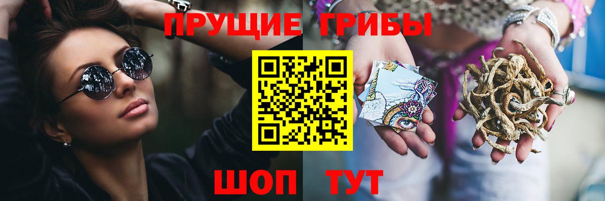 Острогожск  Псилоцибиновые грибы прущие грибы  Вход с VPN 